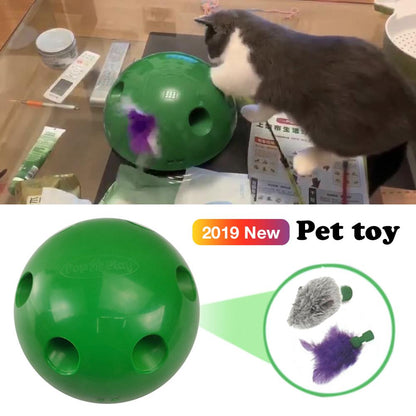 Cat Toy / Scratching Device