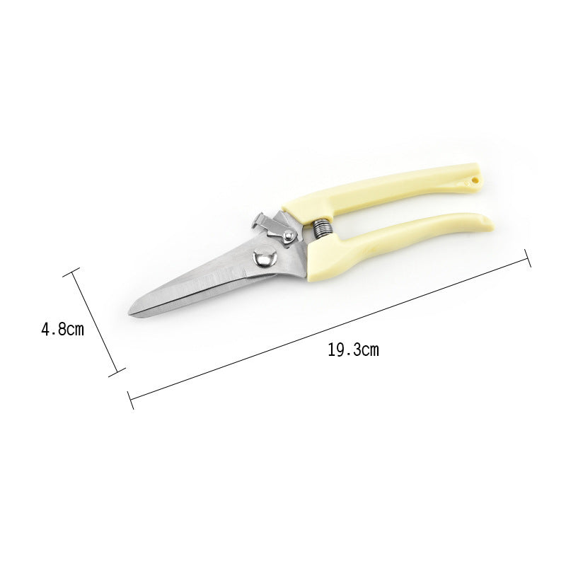 Stainless Steel Garden Pruning Shears