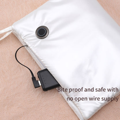 Pet Electric Blanket Constant Temperature Timing Heating Pad