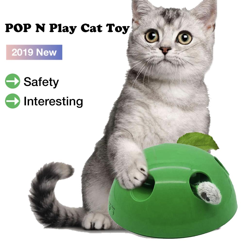 Cat Toy / Scratching Device